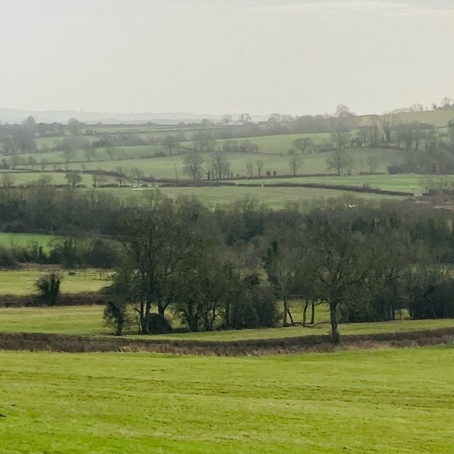 image4