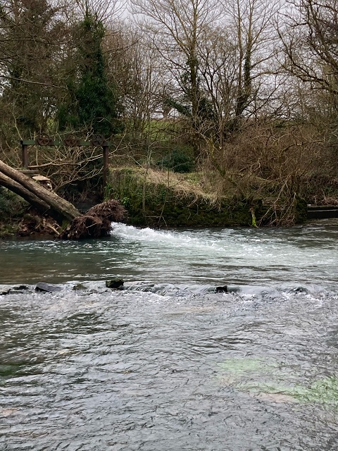 image10