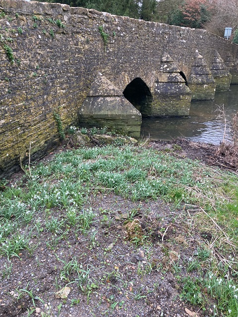 image8