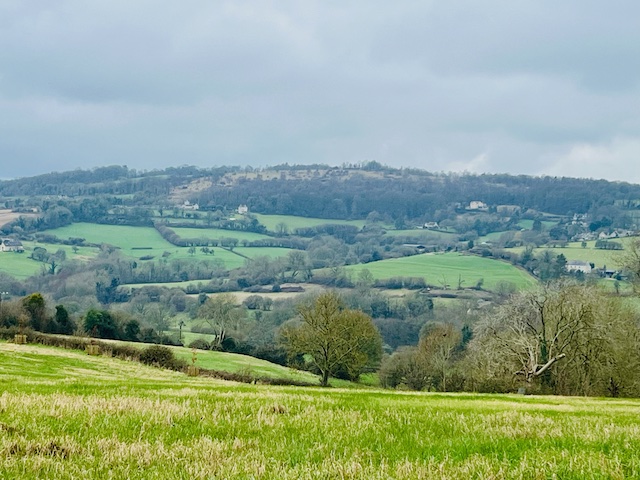 240310painswick2