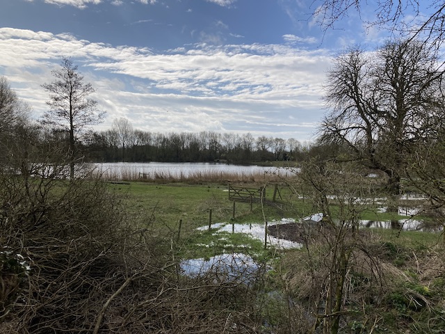 cerney1