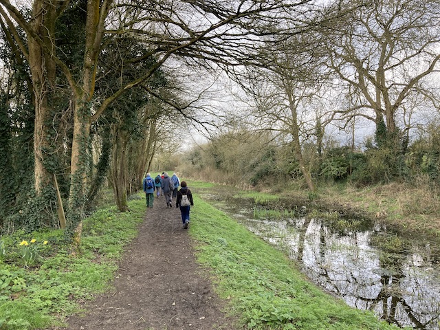 cerney2