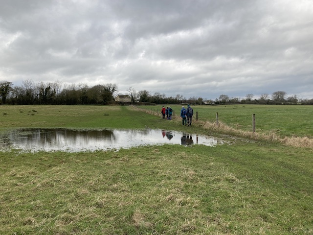 cerney3