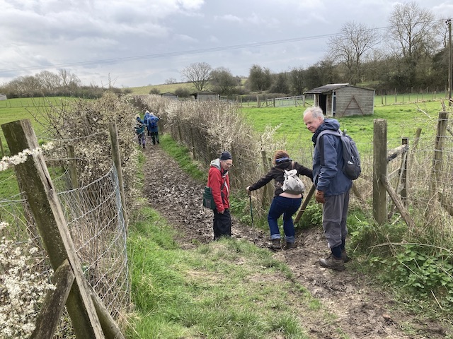 cerney4