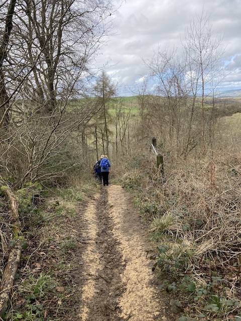 cleeve4