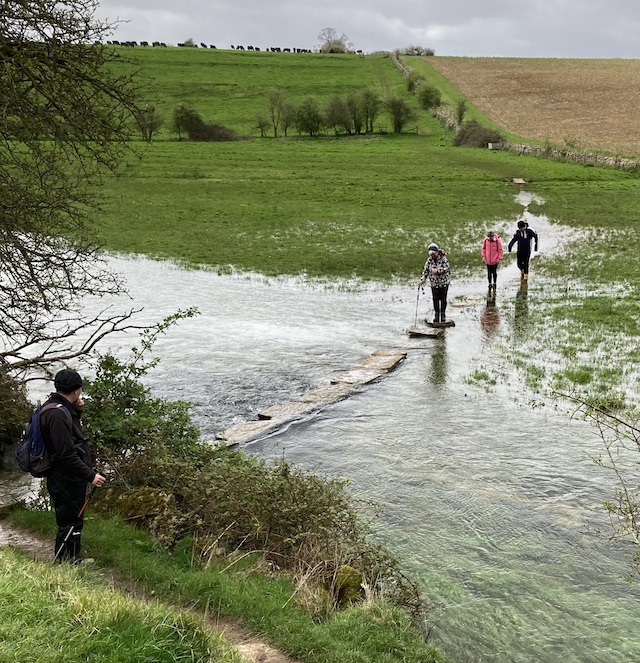 southrop5