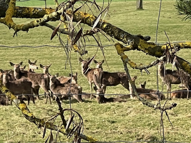 batsford2