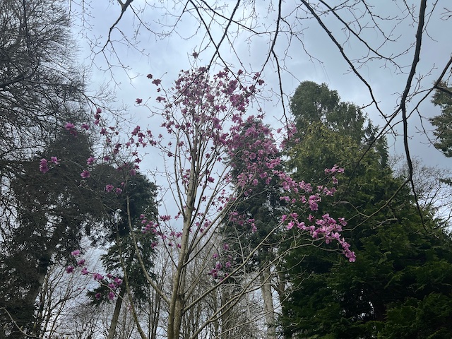 batsford3