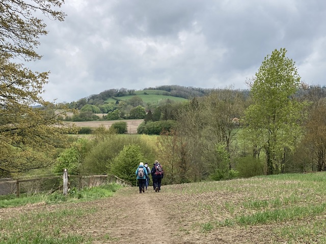 hillesley1