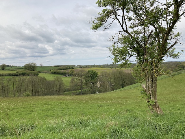 hillesley4