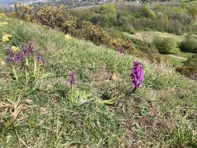 leckhampton1