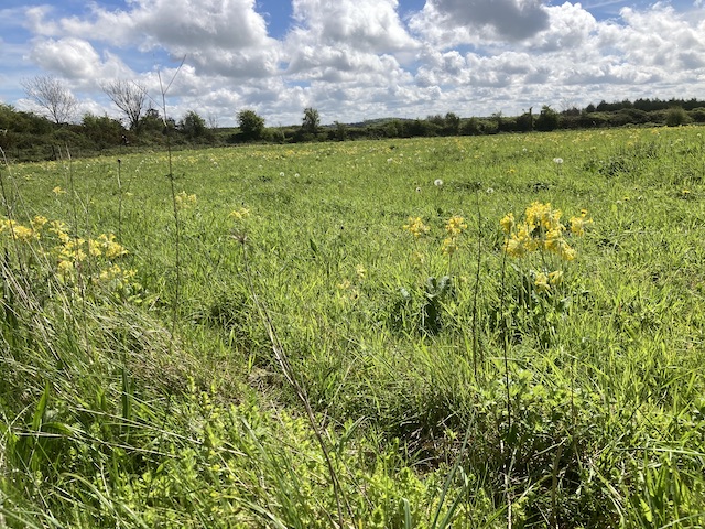leckhampton2