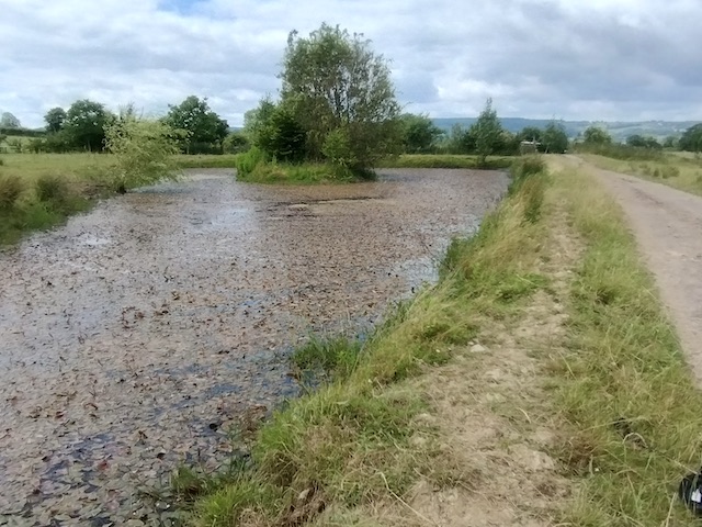 Arlingham 2