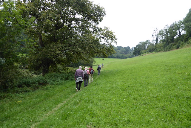 Hillesley 6