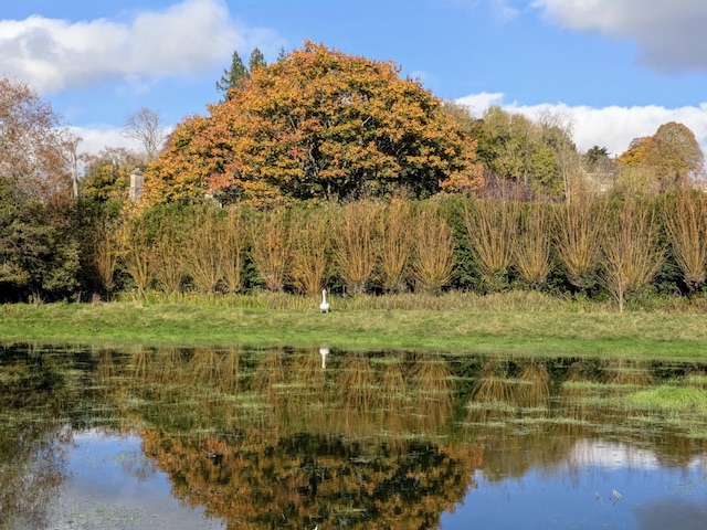 Bibury6