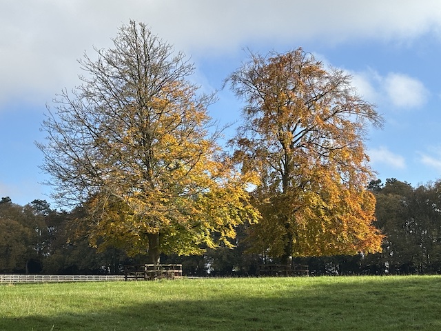 Adlestrop1