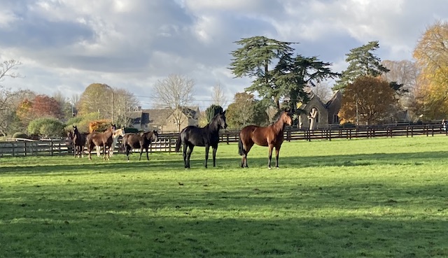 Ampney4