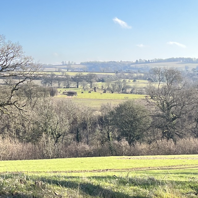 250202 Temple Guiting2