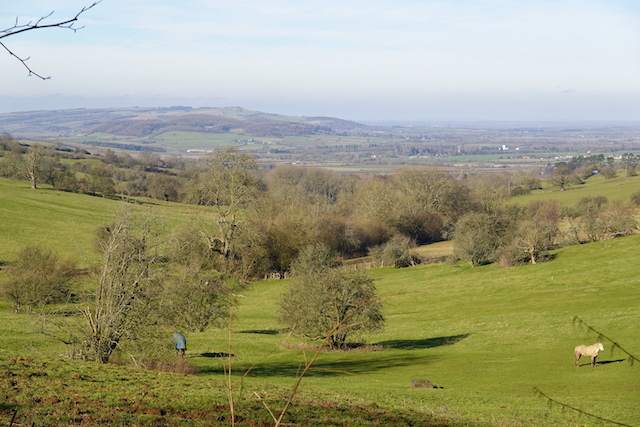 250202 Temple Guiting4