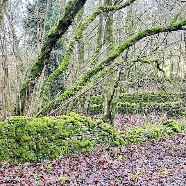 250109 Bibury2