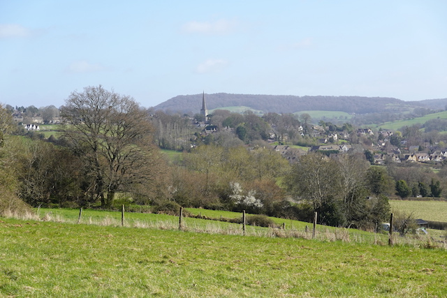 250330 Painswick1