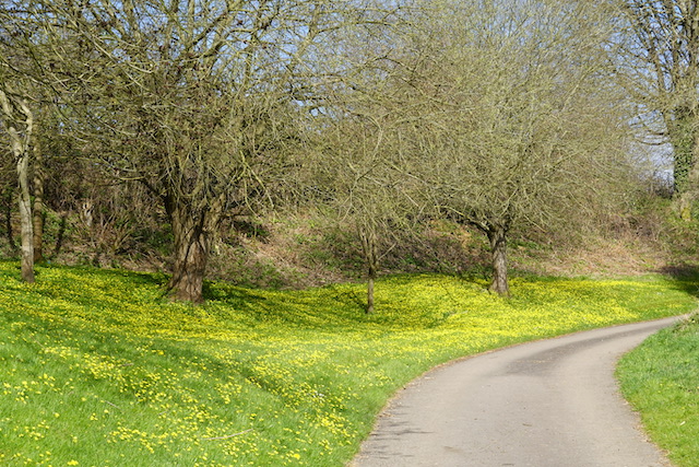 250330 Painswick4