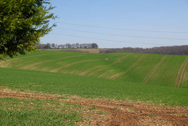 250420 SevenSprings4