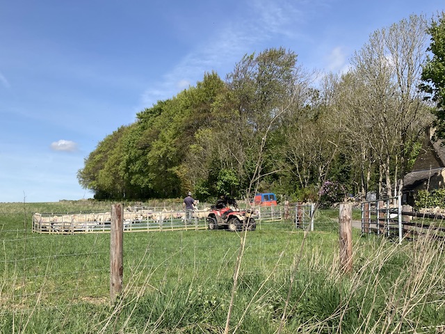 250427 ColdAston2