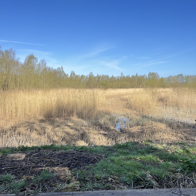 250504 Lakes5