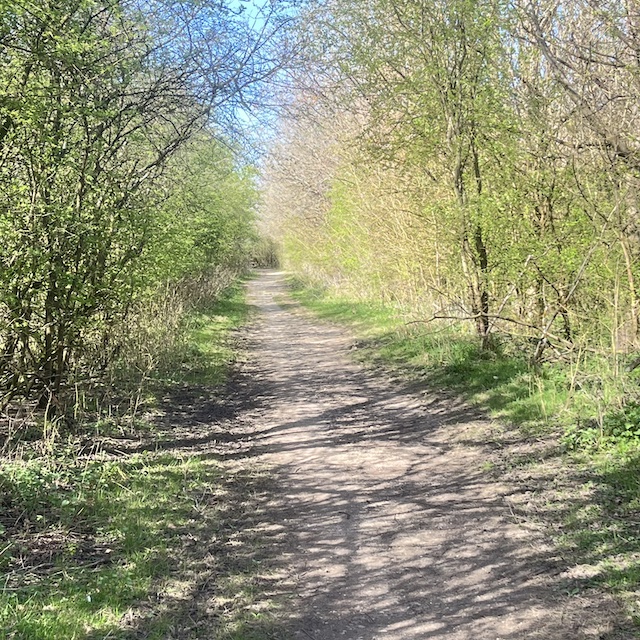250504 Lakes6