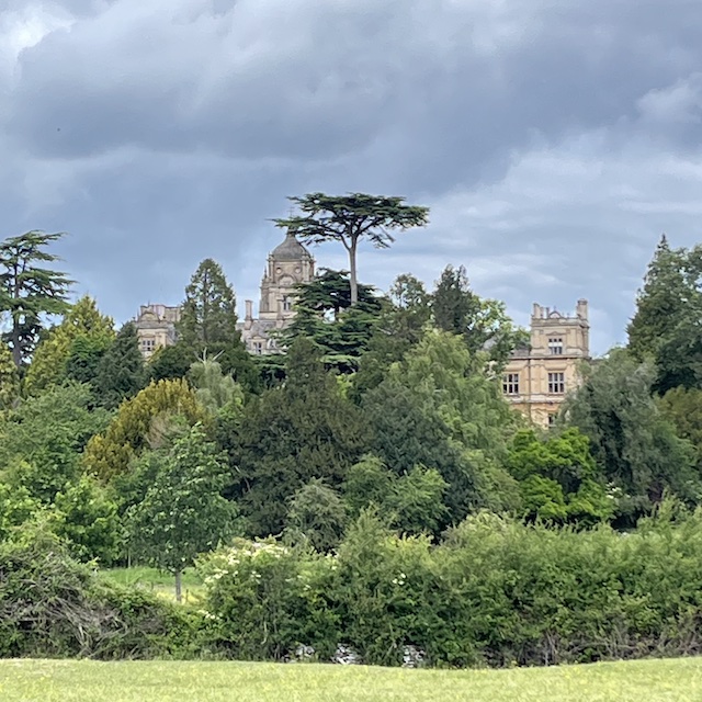 250601 Westonbirt2