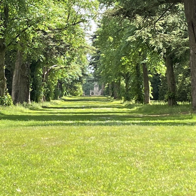250601 Westonbirt4