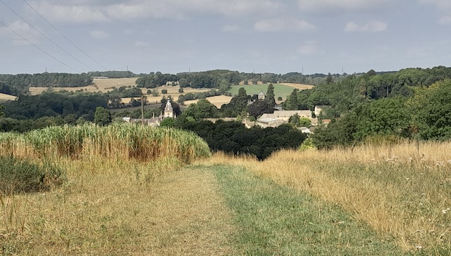 250810 NorthCerney2