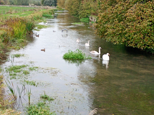 River Coln from High Street