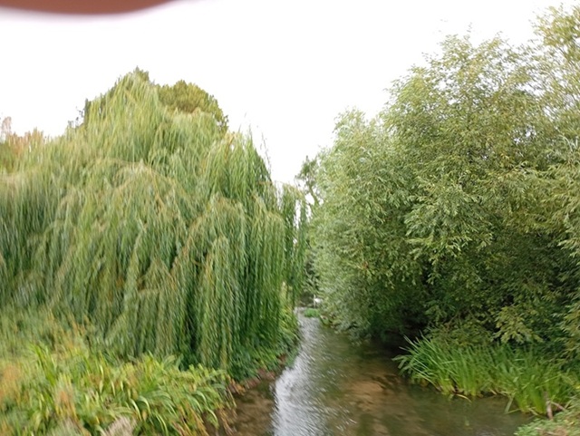 Willows by The River Coln