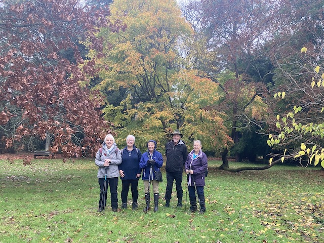 251112 Westonbirt3