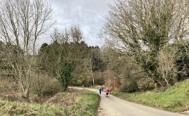 260101 TempleGuiting3