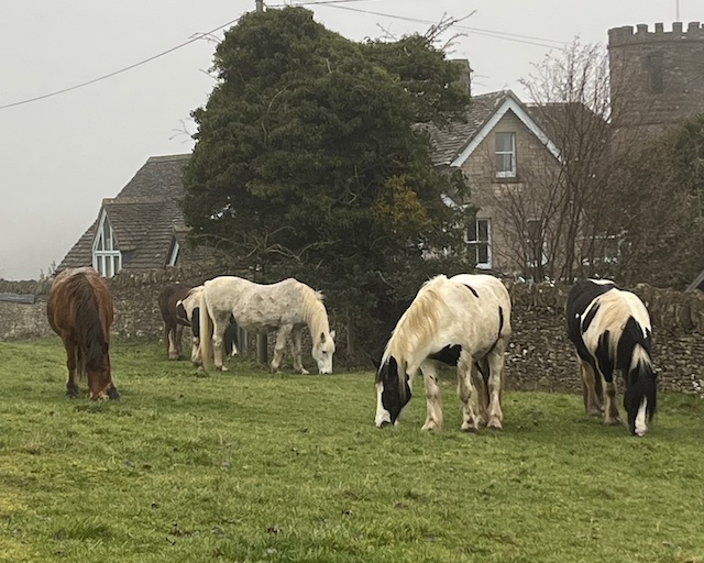 260118 Minchinhampton5