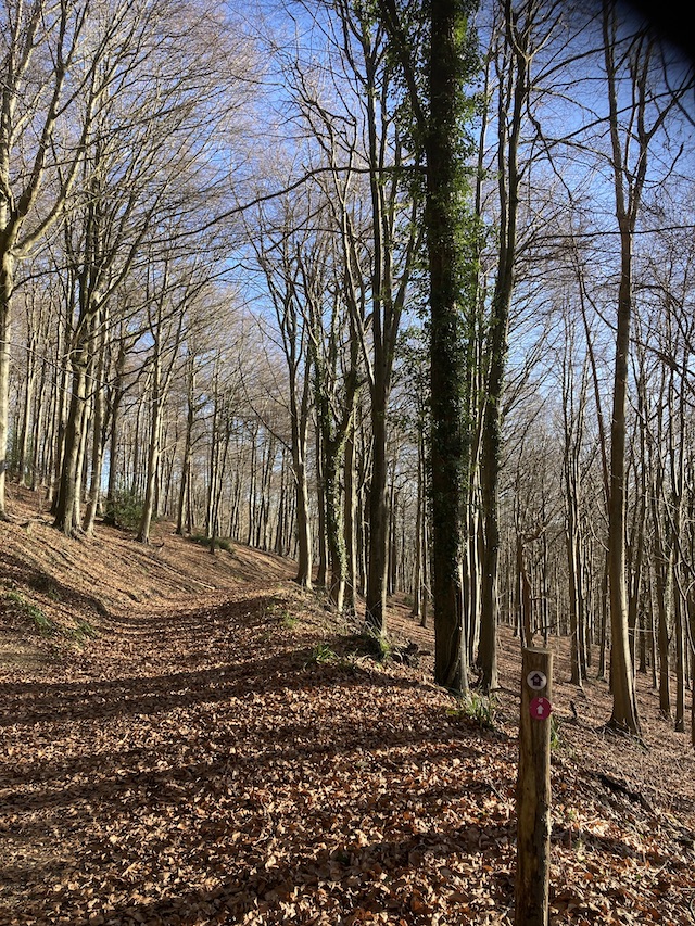 260125 WoodchesterPark2