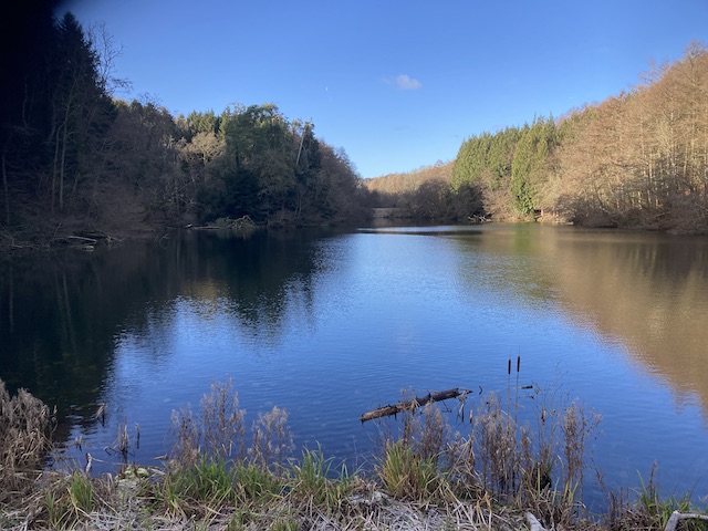 260125 WoodchesterPark3