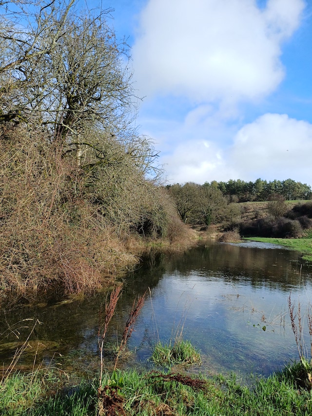 260211 TroubleHouse5