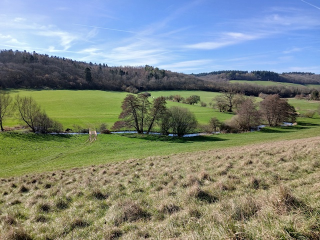 260308 Chedworth3