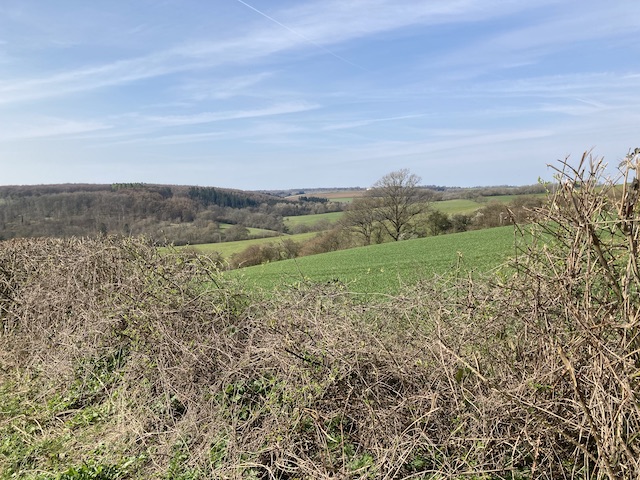 260322 TempleGuiting1
