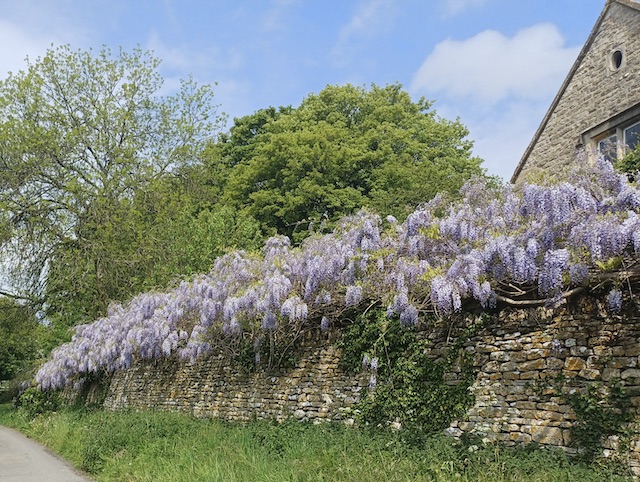 260513 Winstone1