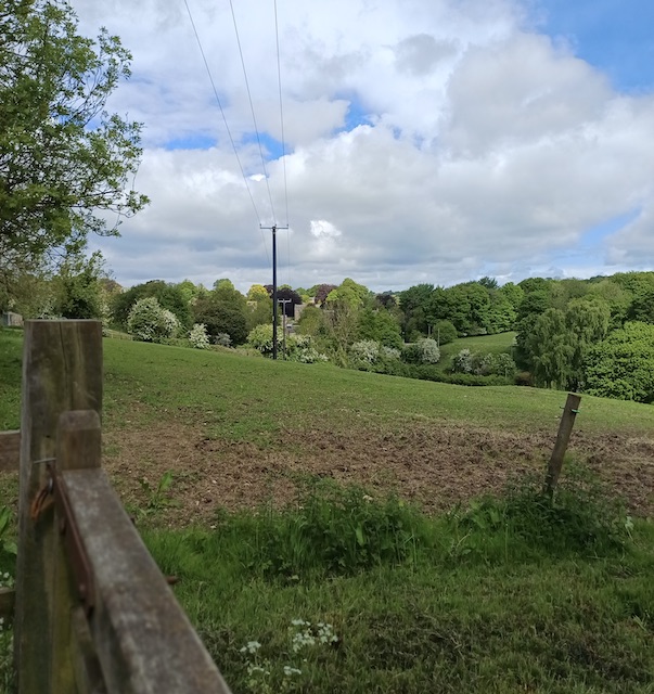 260513 Winstone3