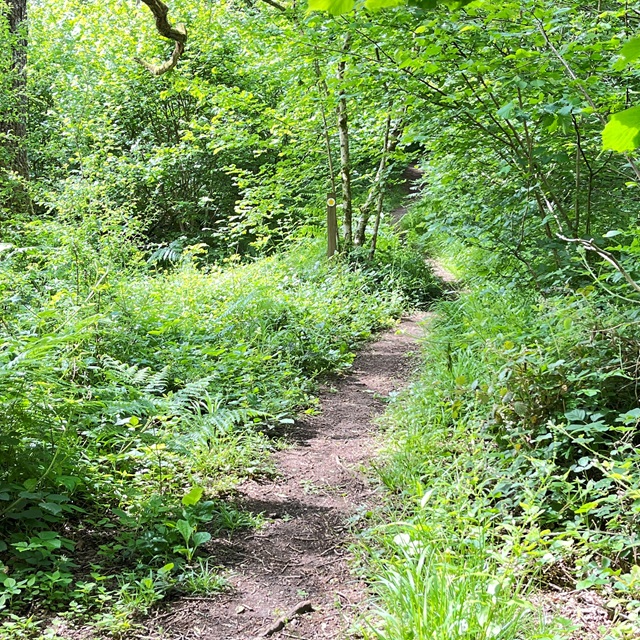path