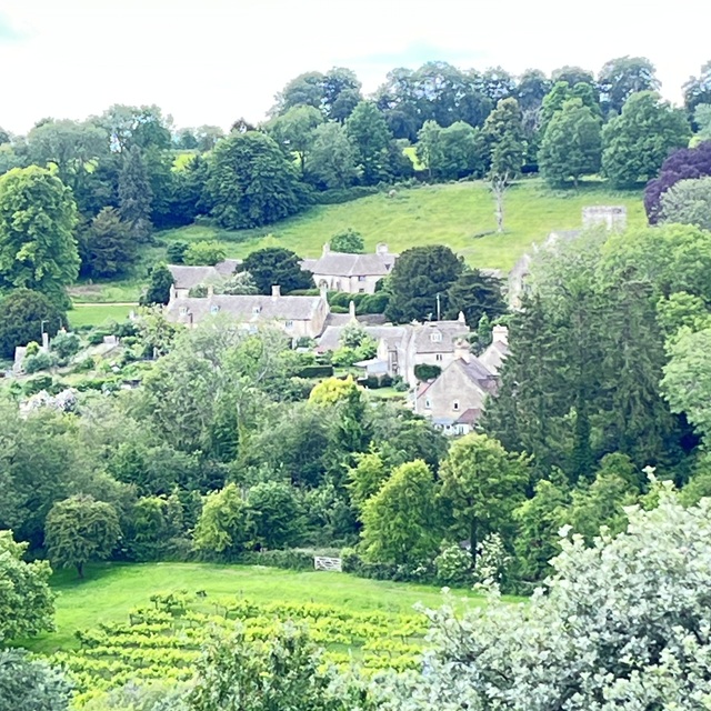 view