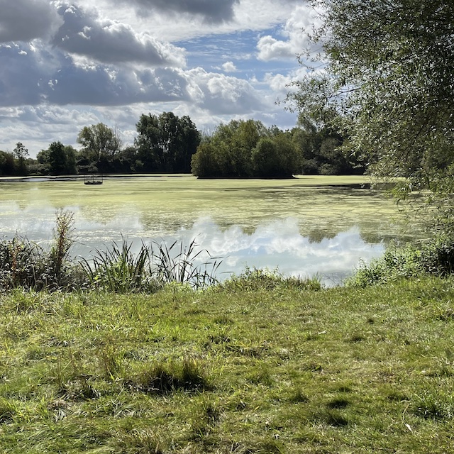 260901 Lower Moor1