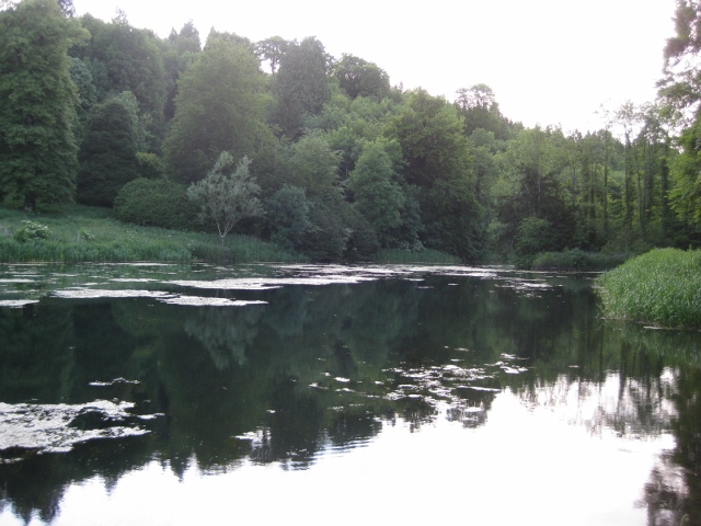 Lake in Misarden Park