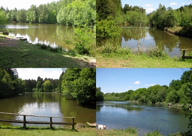 Some of the ponds and lakes encountered on the walk